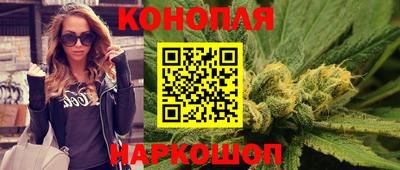 гидропоника Гусев